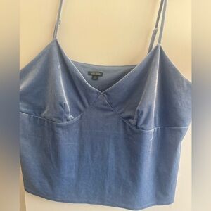 Wild Fable Blue Velvet Cami